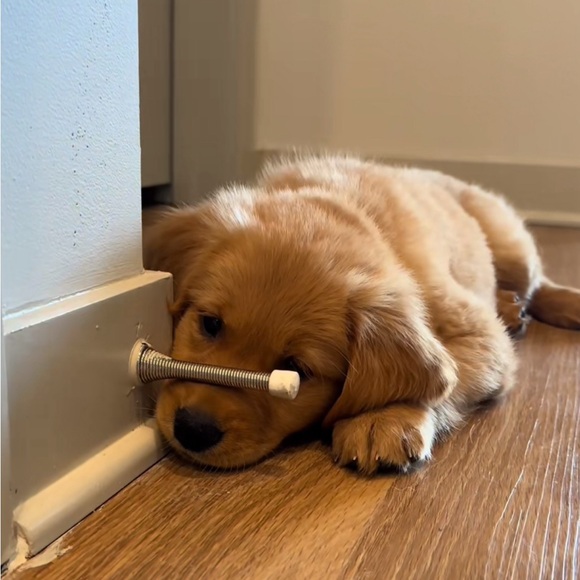 Introducing myself❤️ - Picture 3 of 4